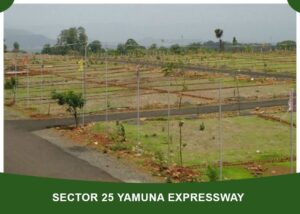 Sector 25 Yamuna Expressway Semi Commercial Plot